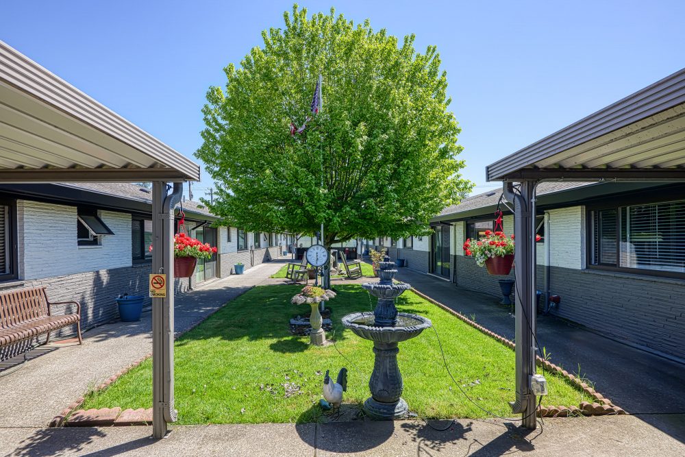 A courtyard area with a large green tree in the center, a decorative fountain, benches, and buildings on either side
